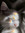 member photo member photo