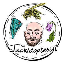 TheJackidopterist