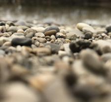 Emma 🧚🏼‍♀️