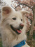 haewon