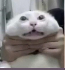 Vicktor