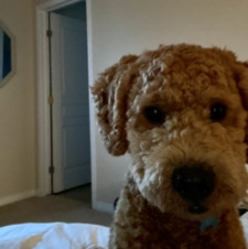 Natalie-Josée Carson