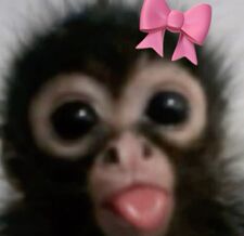 Marisol  :) 