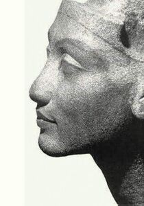Tolga