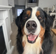 Kassy