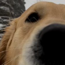Sam