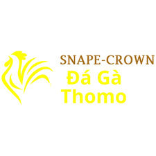 Đá Gà Trực Tiếp Thomo
