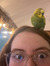 Mairead
