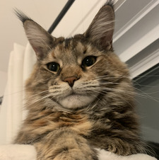 Sam