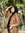 Noor al...