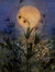 Lorrea McElwee