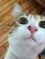 Jiyoung