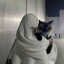 آلاء النجار