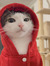 Intan S...