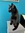 member photo member photo