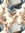 Cardo | 3 comments