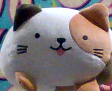 Bunny