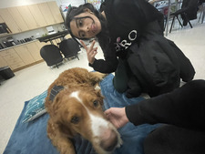 Hiya °❀⋆.ೃ࿔*:･-ˋ