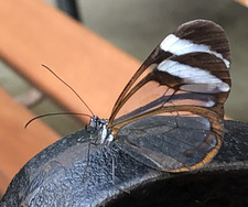 PRETENTIOUSMARSHMALLOW