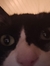 Devta
