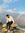 Aniket
