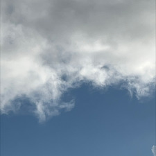 Stella&#x1f406;&#x1f3b1;