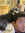 Tyler Wang
