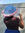A.D. Jenkins | 2 comments