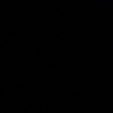 Bailey Jeffries Evans