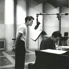 dearcatastrophewaiter