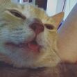 Dexter