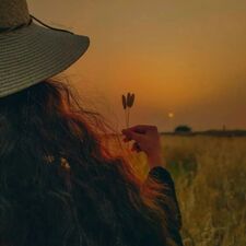 كاميليا يوسف