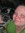 Christine (cmason101) | 1 comments
