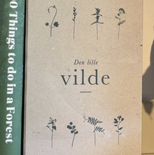 Vilde