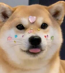 tamara ੈ✩‧₊˚