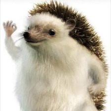 Ricardo