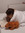 Darya | 6 comments