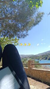 Aroa