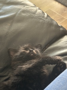 ❤️‍A ❤️‍