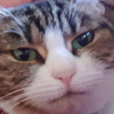 C S
