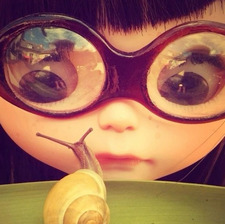 * . °•★| audrey |☆•° . *