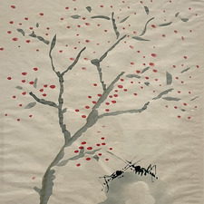 Milla Wang