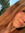 Kelsey Peede