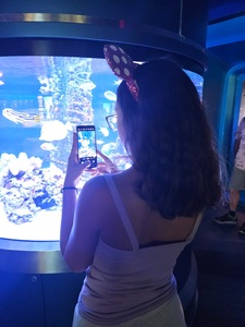 •°•Gabriela•°•