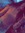 noell | 13 comments