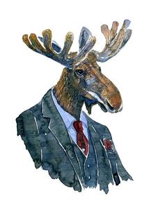 Moose