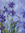 crushedlilacs