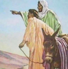 هند المعاضيد 