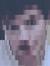 paddy