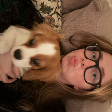 abbi williams